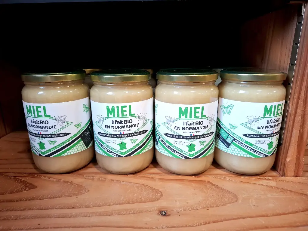 Miel Bio 1Kg.webp
